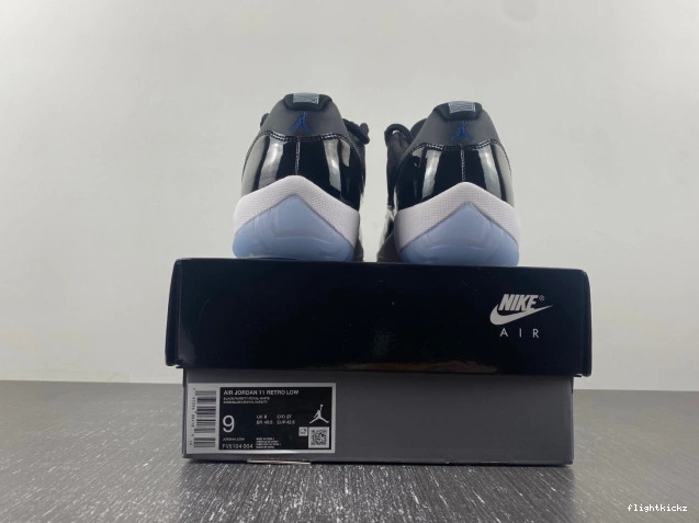 Jordan FV5104-004 Low 11 Air Jam Space 0808